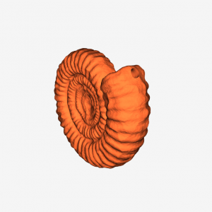 Ammonite Sculpture Keychain (Remix)