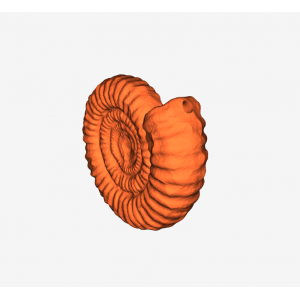 Ammonite Sculpture Keychain (Remix)