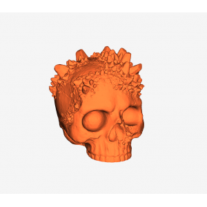 Crystal Embedded Halloween Skull