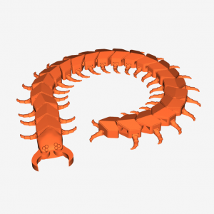 Scolopendra Scolopendra